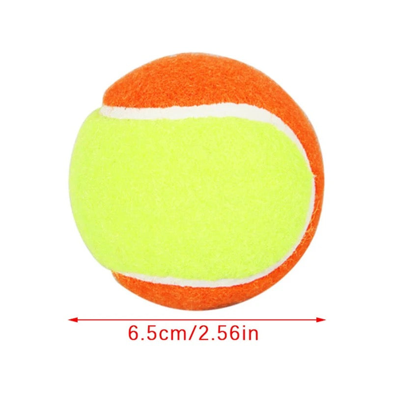Outdoor training tennis ball 2pc