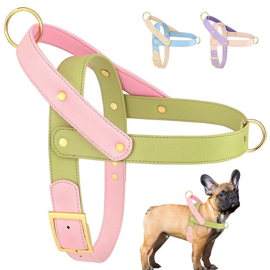 Leather No Pull Dog Harness Small Medium Large