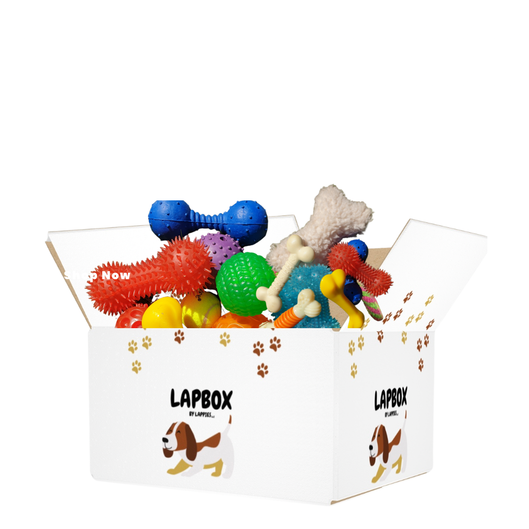 Random Variety Lap Box "Toy Box" 14pc