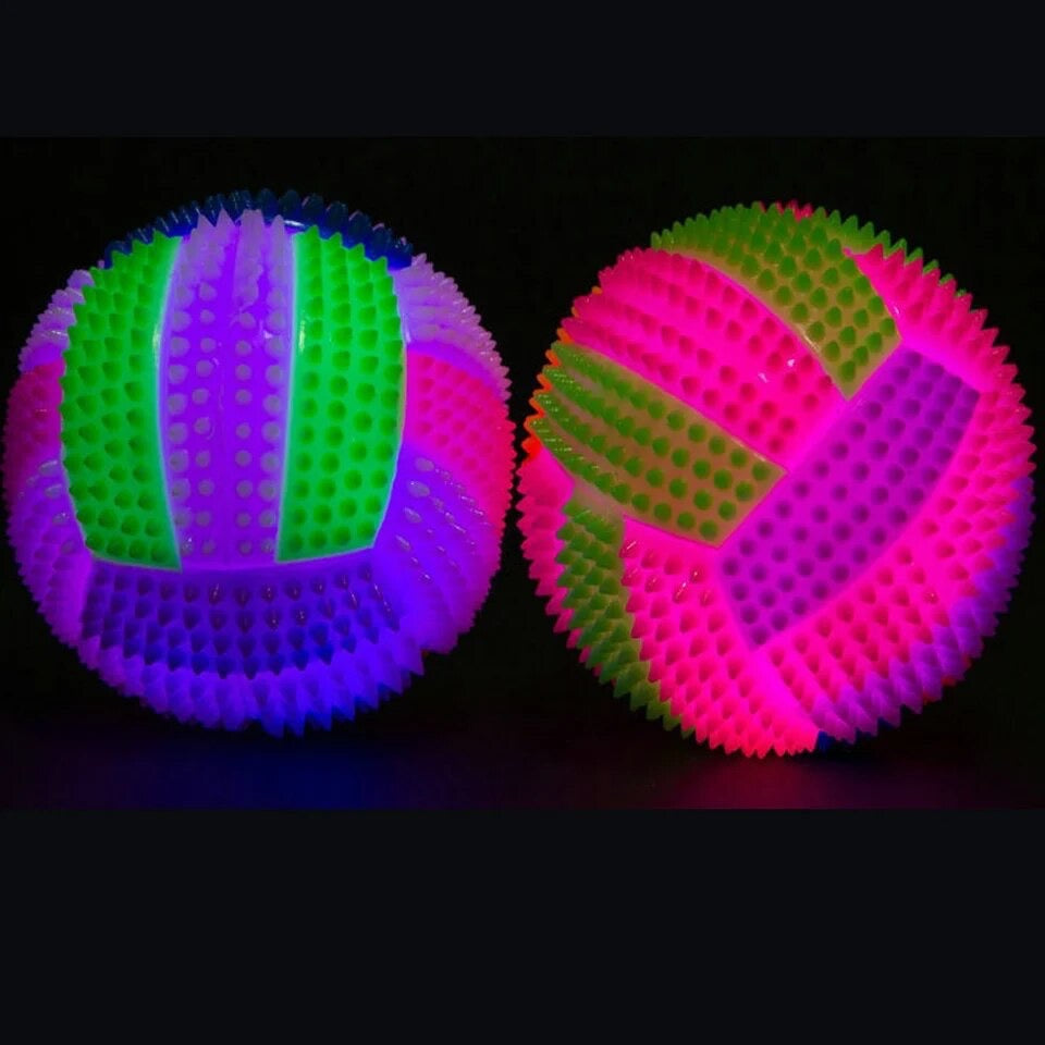 (2pc) Light up Dog Ball Glow in The Dark