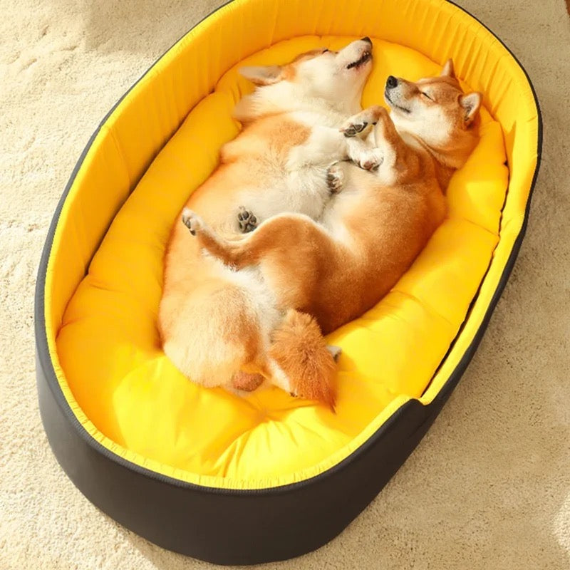 Pet Medium Waterproof Bed & Cushion