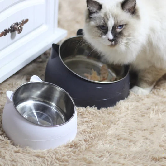 Cat Feeding bowl