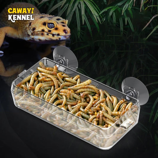 Reptile Transparent Feeder Anti-escape Food Bowl
