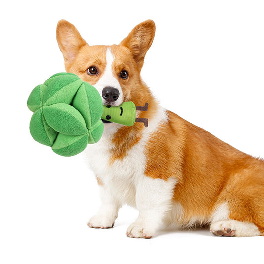 Pet Dog Snuffle Ball Toy Plush Broccoli Dog